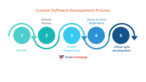 custom software development with maximum ROI